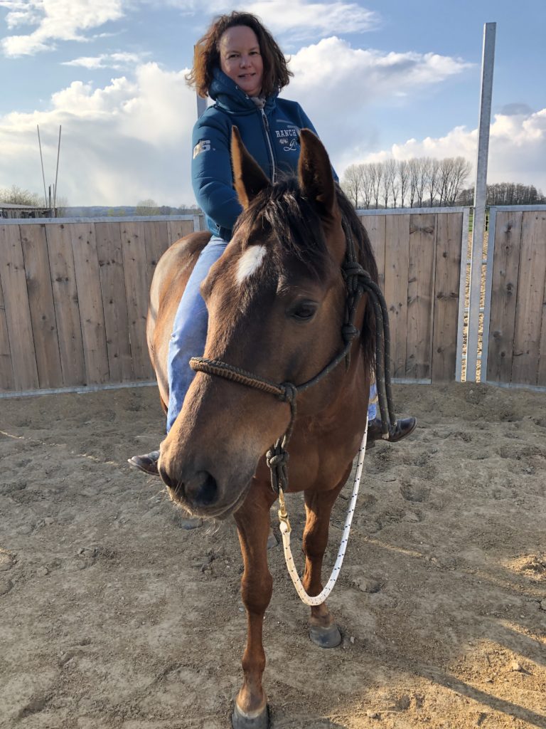 mental gut westernreiten